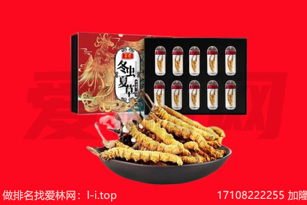 台湾台南市回收虫草.jpg